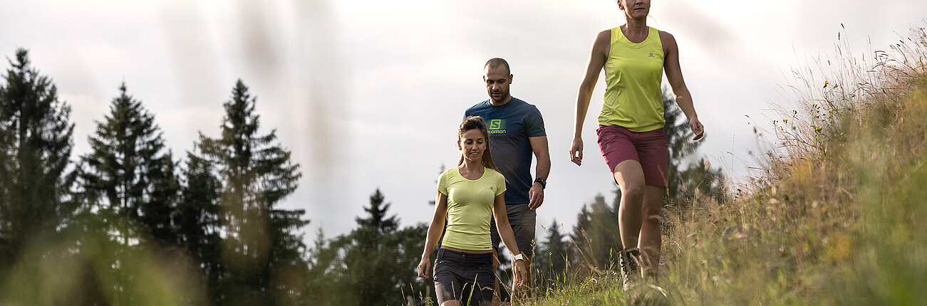 Wandern in den Kitzbüheler Alpen